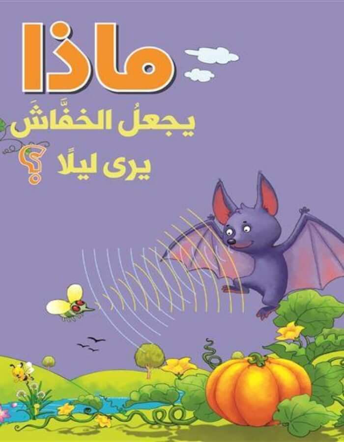 سلسلة الأسئلة: ماذا يجعل الخفاش يرى ليلًا؟ - ArabiskaBazar - أرابيسكابازار